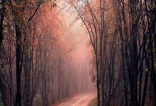 狼队主帅佩雷拉：希望未来可以在英超看到有中国球员的身影.