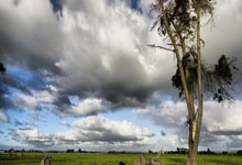 奥运冠军父亲否认虐待子女 称只是“过度保护”.