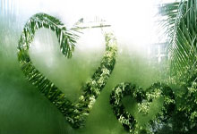 PG娱乐官网：[NBA]默里单打霍姆格伦 干拔中距离得手.